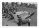 Delcampe - MIKI-BP7-003- ALLEMAGNE MILITAIRES LUFTWAFFE GUERRE 39/45 UNIFORMES MEDAILLES LOT 9 PHOTOS - Guerre 1939-45
