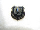 PIN'S   MILITARIA   CERCLE  TREVES    Email Grand Feu - Army