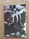 Delcampe - KB10/1523*1540-lot De 18 Cartes Postales Animaux Publicité Laboratoires Roland Marie - Other & Unclassified
