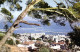 ALGER  Vue Panoramosque Colorisée RV Beau Timbre 0.20Algerie Unesco - Algiers