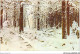 AETP6-USA-0494 - Shishkin - Winter - Panoramische Zichten, Meerdere Zichten