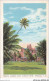 AETP6-USA-0487 - HONOHULU - HI - Tropical Gardens - Royal Hawaiian Hotel - Honolulu