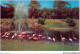 AETP6-USA-0442 - MIAMI - FLORIDA - Flamingos And Lake At The Parrot Jungle - Miami