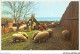 AETP9-USA-0712 - PLYMOUTH - MASS - Spring Is Sheepshearing Time At Plimoth Plantation - Other & Unclassified