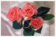 FLOWERS Vintage Ansichtskarte Postkarte CPSM #PBZ163.A - Flowers