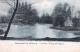 Paliseul - Etablissement De Carlsbourg -  Le Parc - L'étang Des Cygnes - Paliseul