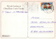 PÁJARO Animales Vintage Tarjeta Postal CPSM #PAN033.A - Oiseaux