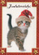 GATO GATITO Animales Vintage Tarjeta Postal CPSM #PAM472.A - Katten