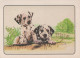 CHIEN Animaux Vintage Carte Postale CPSM #PAN665.A - Perros