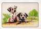 CHIEN Animaux Vintage Carte Postale CPSM #PAN665.A - Perros