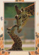 JIRAFA Animales Vintage Tarjeta Postal CPSM #PBS956.A - Giraffes