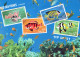 PESCADO Animales Vintage Tarjeta Postal CPSM #PBS881.A - Poissons Et Crustacés