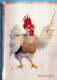 BIRD Animals Vintage Postcard CPSM #PBR734.A - Vogels