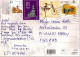 PIGS Animals Vintage Postcard CPSM #PBR739.A - Cochons