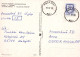 ÁRBOLES Vintage Tarjeta Postal CPSM #PBZ965.A - Bäume