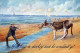 ASINO Animale Vintage CPA Cartolina #PAA319.A - Donkeys