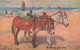 ÂNE Animaux Vintage Antique CPA Carte Postale #PAA013.A - Donkeys