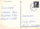 SINGE Vintage Carte Postale CPSMPF #PKG942.A - Singes