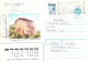 Ukraine:Ukraina:Registered Letter From Rovno And Recommande Cancellation With Overprinted Stamp, 1993 - Ukraine