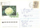 Ukraine:Ukraina:Registered Letter From Voiarka With Stamp, 1993 - Ucraina