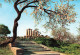 ITALIE - Agrigento - Tempio Di Ercole - Vue Générale - Escalier - I I Tempio A (upposto Di Eracle) - Carte Postale - Agrigento