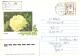 Ukraine:Ukraina:Registered Letter From Irpen With Stamp, 1993 - Ukraine