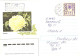 Ukraine:Ukraina:Registered Letter From Irpen With Stamp, 1993 - Oekraïne