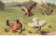 OISEAUX #MK48883 POULE COQ POUSSINS ET ATTAQUE D UN FAUCON - Vögel