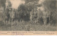 INDE AB#MK740 LA GRANDE GUERRE 1914 15 FRONT NORD QUARTIER GENERAL DES INDIENS - India