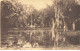 MAURICE #MK53370 ETANG DU JARDIN DES PAMPLEMOUSSES - Maurice