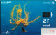 Croatia: Hrvatski Telekom - Underwater World, Dlakavica. Transparent - Kroatien