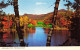 R596766 Adirondack Mts. Flaming Leaves. Mike Roberts. Page Distributing - Welt