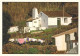 AÇORES, SÃO MIGUEL - Casa Rural  (2 Scans) - Açores