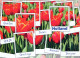 FLOWERS Vintage Ansichtskarte Postkarte CPSM #PBZ941.DE - Flowers