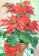 FLOWERS Vintage Ansichtskarte Postkarte CPSM #PAR809.DE - Blumen