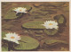 FLOWERS Vintage Ansichtskarte Postkarte CPSM #PAR268.DE - Fleurs