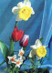 FLOWERS Vintage Ansichtskarte Postkarte CPSM #PAR087.DE - Flowers