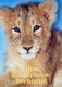 LION Animaux Vintage Carte Postale CPSM #PBS046.FR - Lions