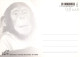 SINGE Animaux Vintage Carte Postale CPSM #PBR974.FR - Monkeys