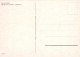 LAPIN Animaux Vintage Carte Postale CPSM #PBR107.FR - Andere & Zonder Classificatie