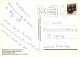 OISEAU Animaux Vintage Carte Postale CPSM #PAN251.FR - Oiseaux