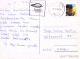 OISEAU Animaux Vintage Carte Postale CPSM #PAM757.FR - Pájaros