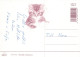 CHAT CHAT Animaux Vintage Carte Postale CPSM #PAM128.FR - Katzen