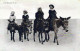 ESEL Tiere Kinder Vintage Antik Alt CPA Ansichtskarte Postkarte #PAA338.DE - Donkeys