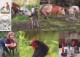 COW Animals Vintage Postcard CPSM #PBR819.GB - Koeien