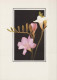 FLOWERS Vintage Postcard CPSM #PAR566.GB - Blumen