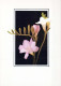 FLOWERS Vintage Postcard CPSM #PAR566.GB - Blumen