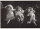 CAT KITTY Animals Vintage Postcard CPSM #PAM439.GB - Chats