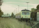 TRENO TRASPORTO FERROVIARIO Vintage Cartolina CPSM #PAA833.IT - Eisenbahnen