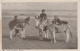 DONKEY Animals Children Vintage Antique Old CPA Postcard #PAA334.GB - Donkeys